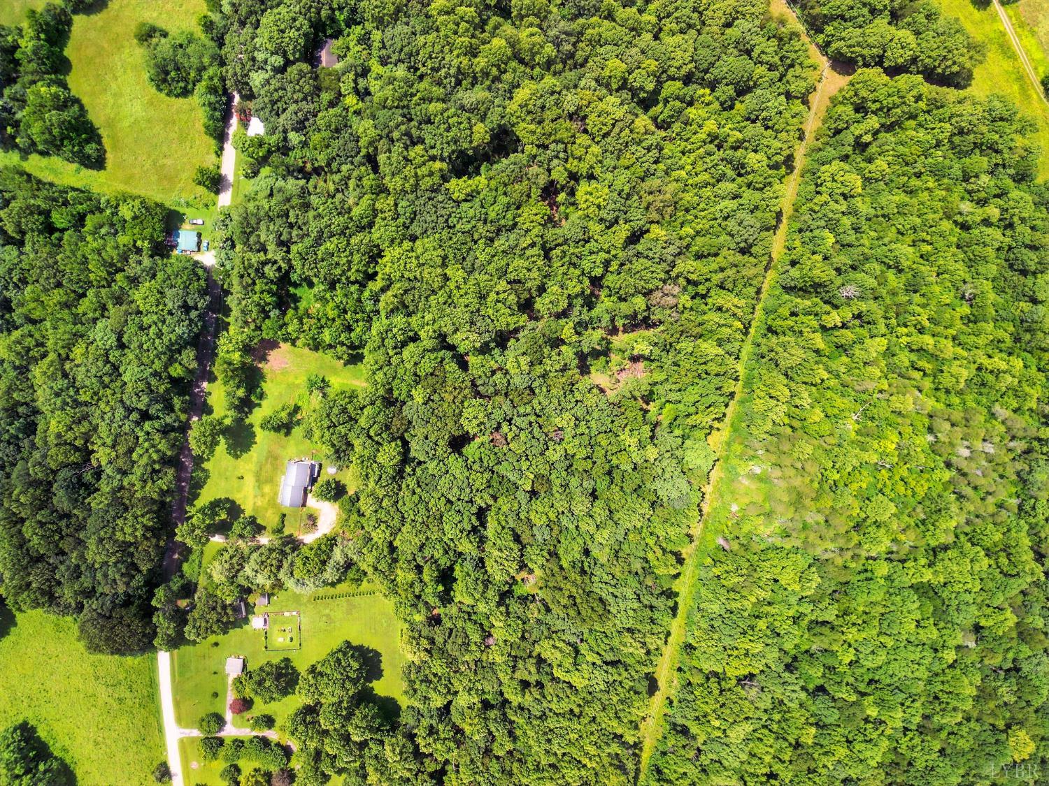 2078 Featherfin Road Prospect, VA 23960 - Photo 46 of 49 a view of a big yard with plants and large trees