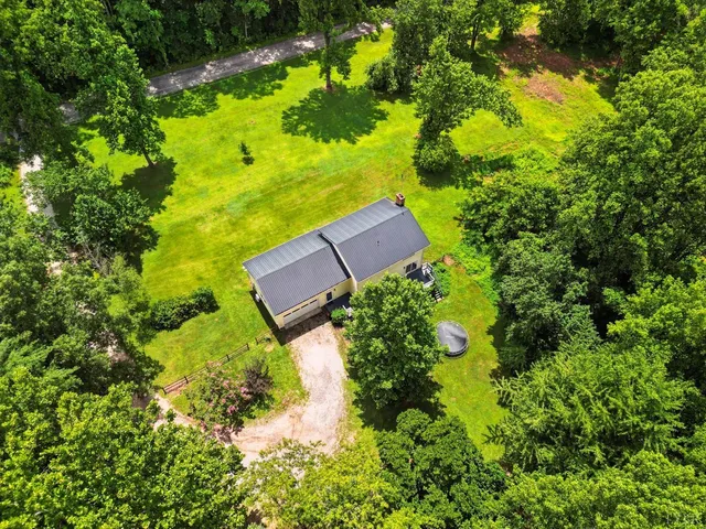 a view of a backyard with plants