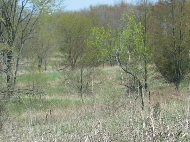 0 Addison Road Jerome, MI 49249 - Photo 11 of 16 IMG_2625