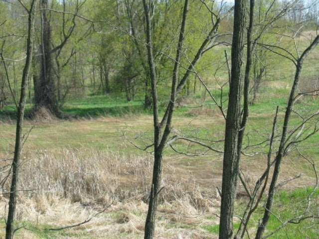 0 Addison Road Jerome, MI 49249 - Photo 14 of 16 IMG_2629