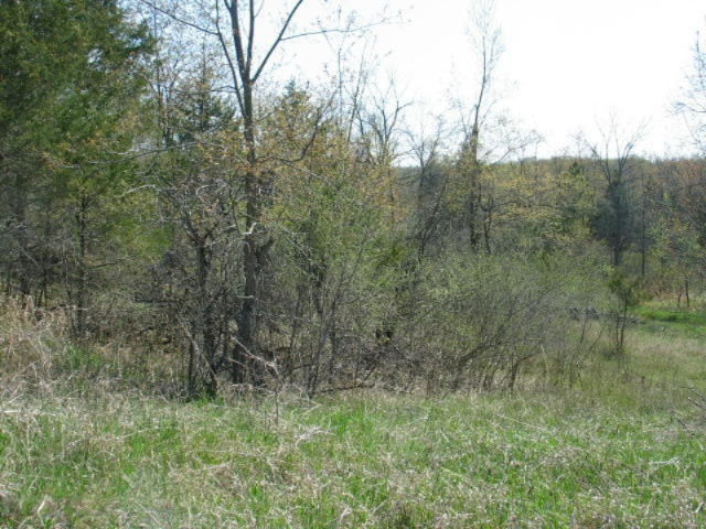 0 Addison Road Jerome, MI 49249 - Photo 2 of 16 IMG_2613