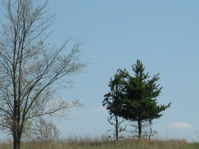 0 Addison Road Jerome, MI 49249 - Photo 10 of 16 IMG_2624