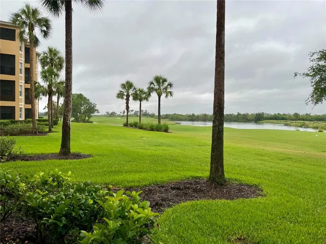 a view of a park with palm trees