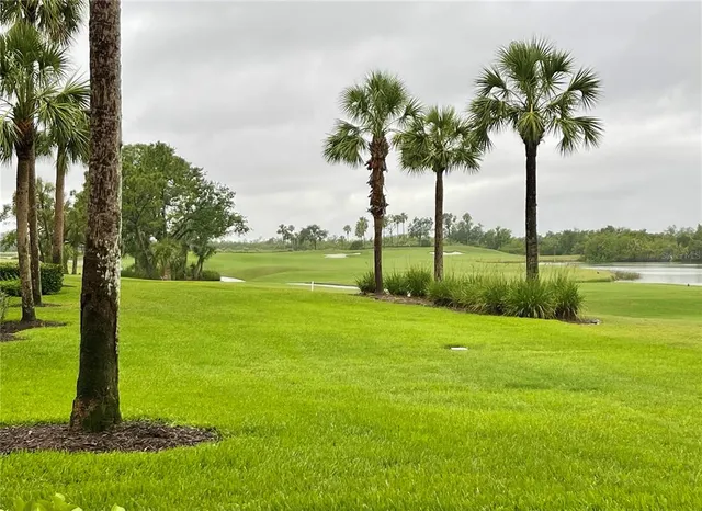 a view of a park with palm trees