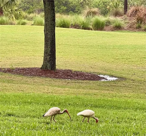 a view of ocean view with beach