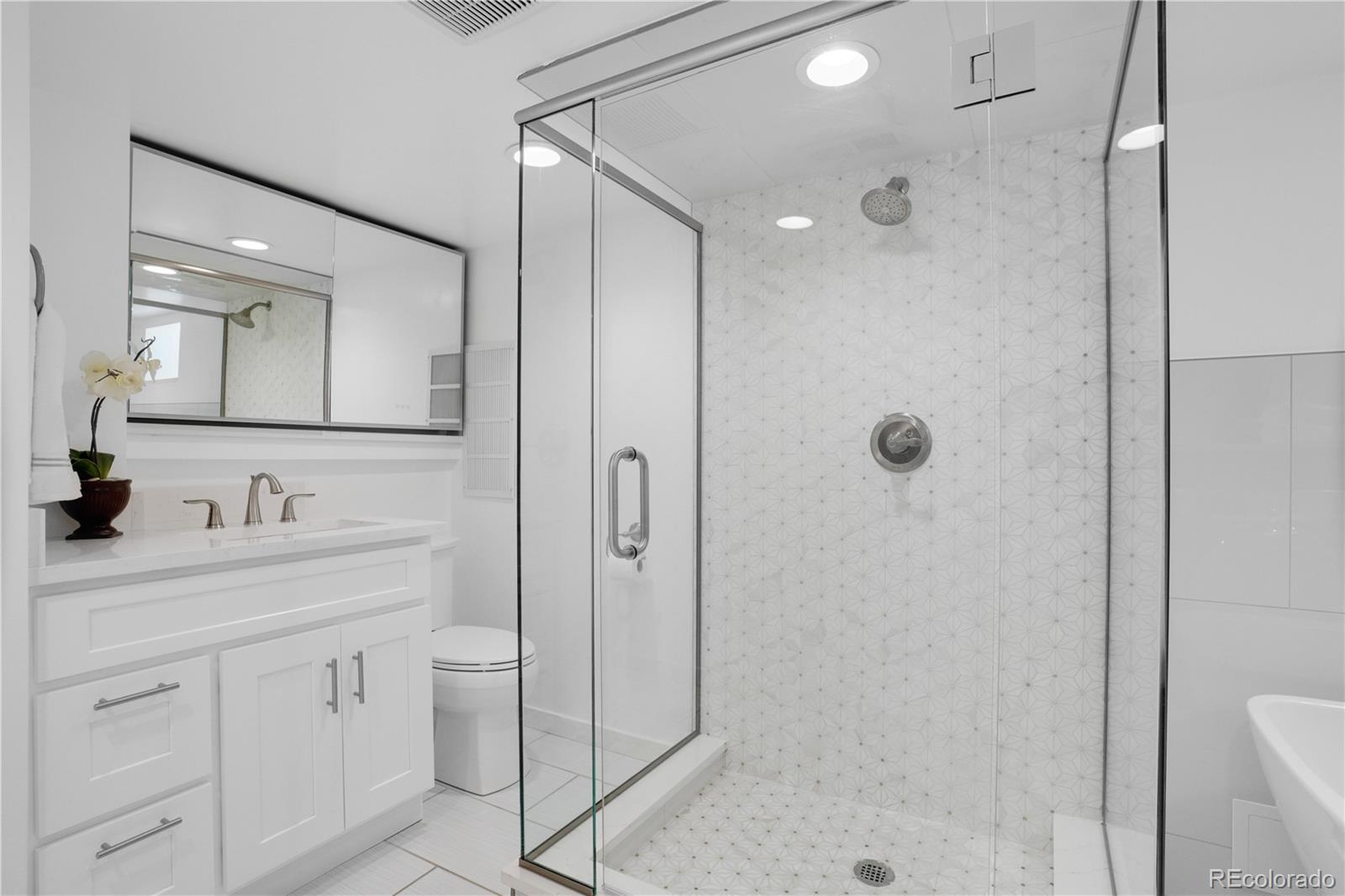 1283 Madison Street Denver, CO 80206 - Photo 27 of 34 a bathroom with a shower sink vanity and mirror