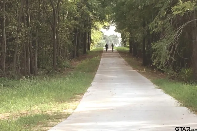 image of a room with a lot of wall paintings