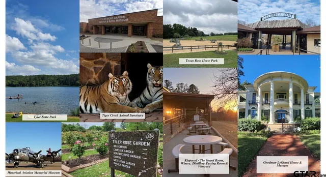 an aerial view of a house with garden space and car parked