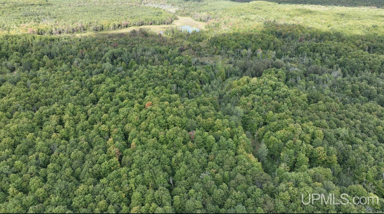 E12696 Co Road, Unit LOT B Shingleton, MI 49884 - Photo 7 of 8