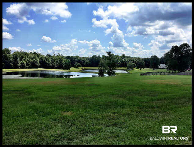 0 Deer Ridge Drive Wilmer, AL 36587 - Photo 4 of 17