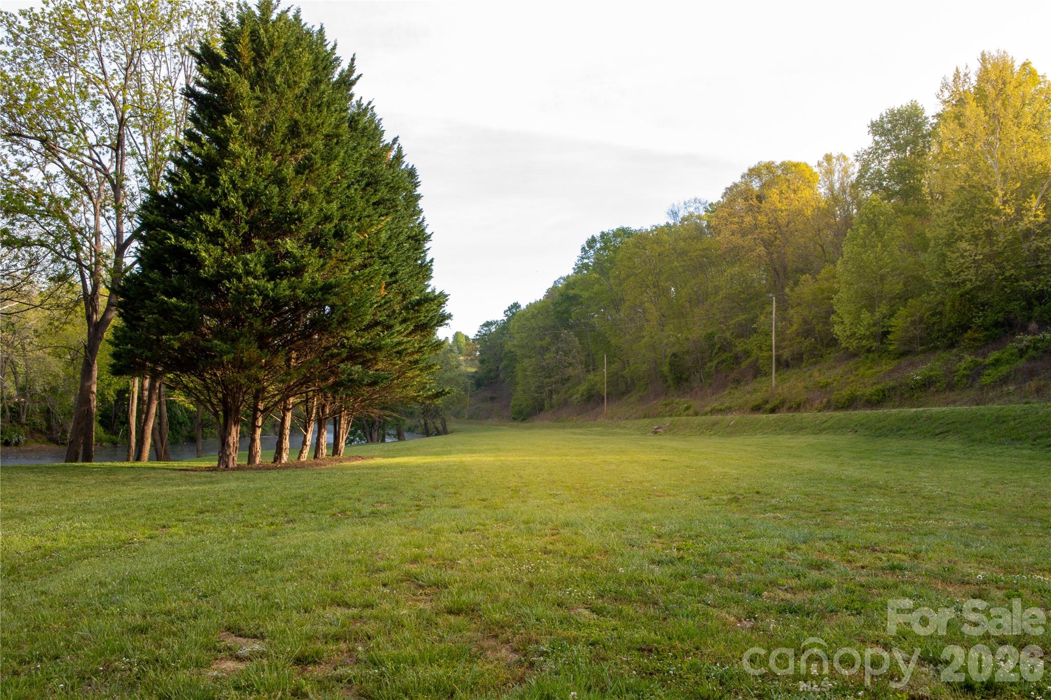 100 Kinloch Lane Clyde, NC 28721 - Photo 41 of 44