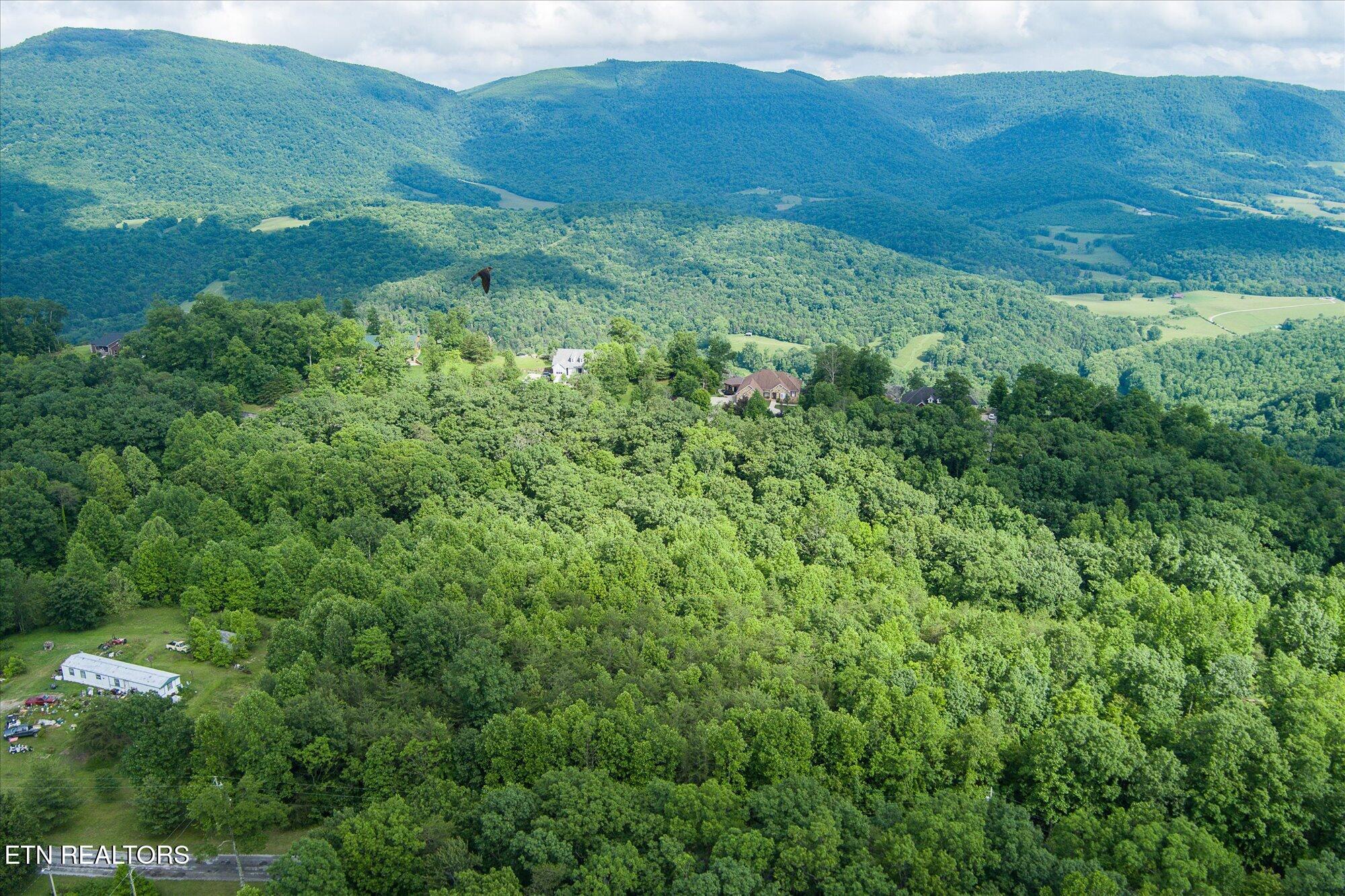 1-Lot 16 Browns Gap Rd_007_TNPC