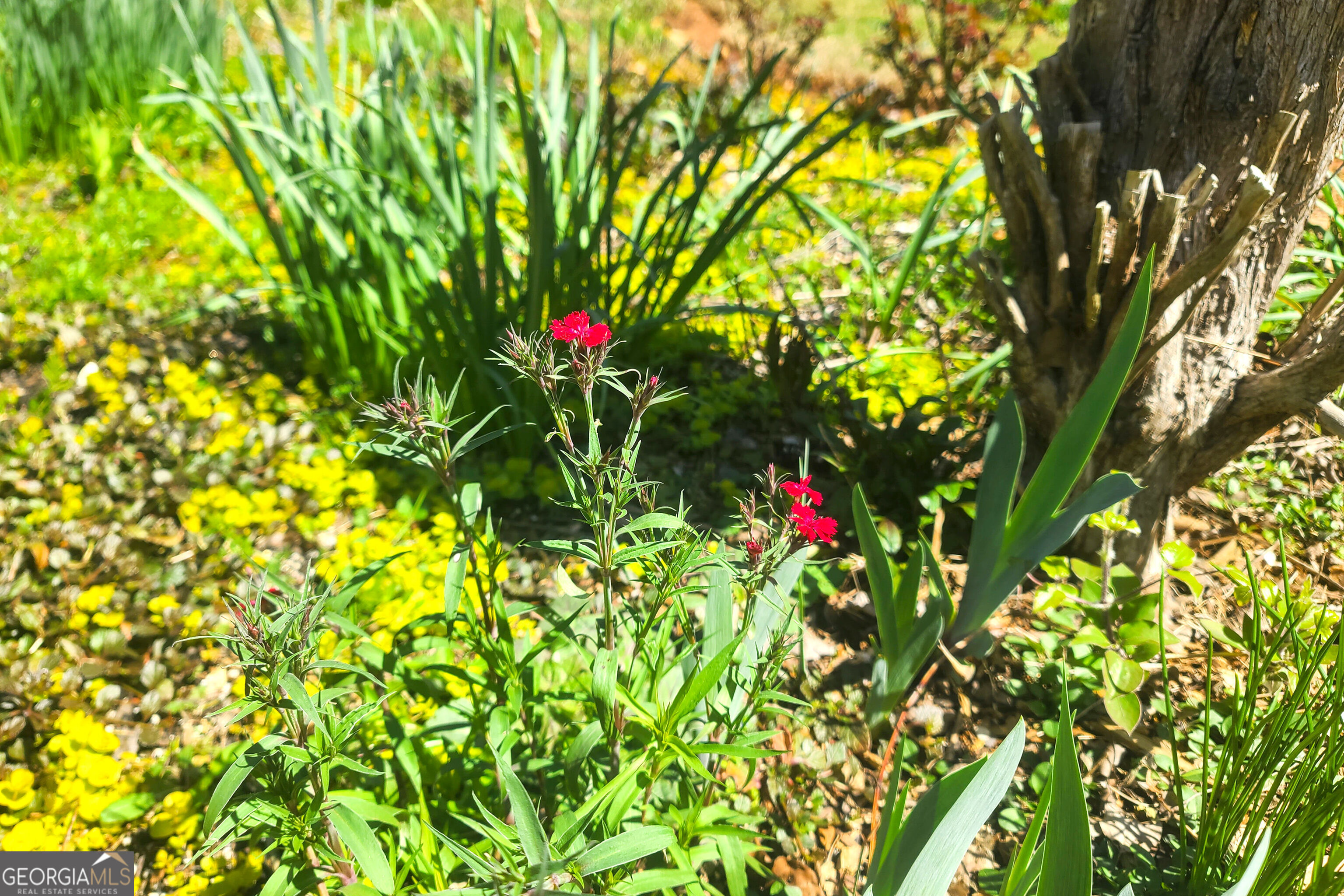 120 Shilling Way Newnan, GA 30263 - Photo 69 of 85