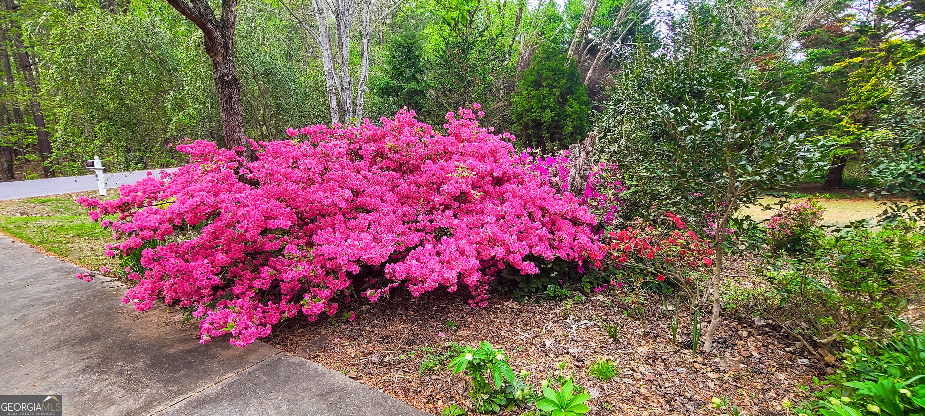 120 Shilling Way Newnan, GA 30263 - Photo 71 of 85