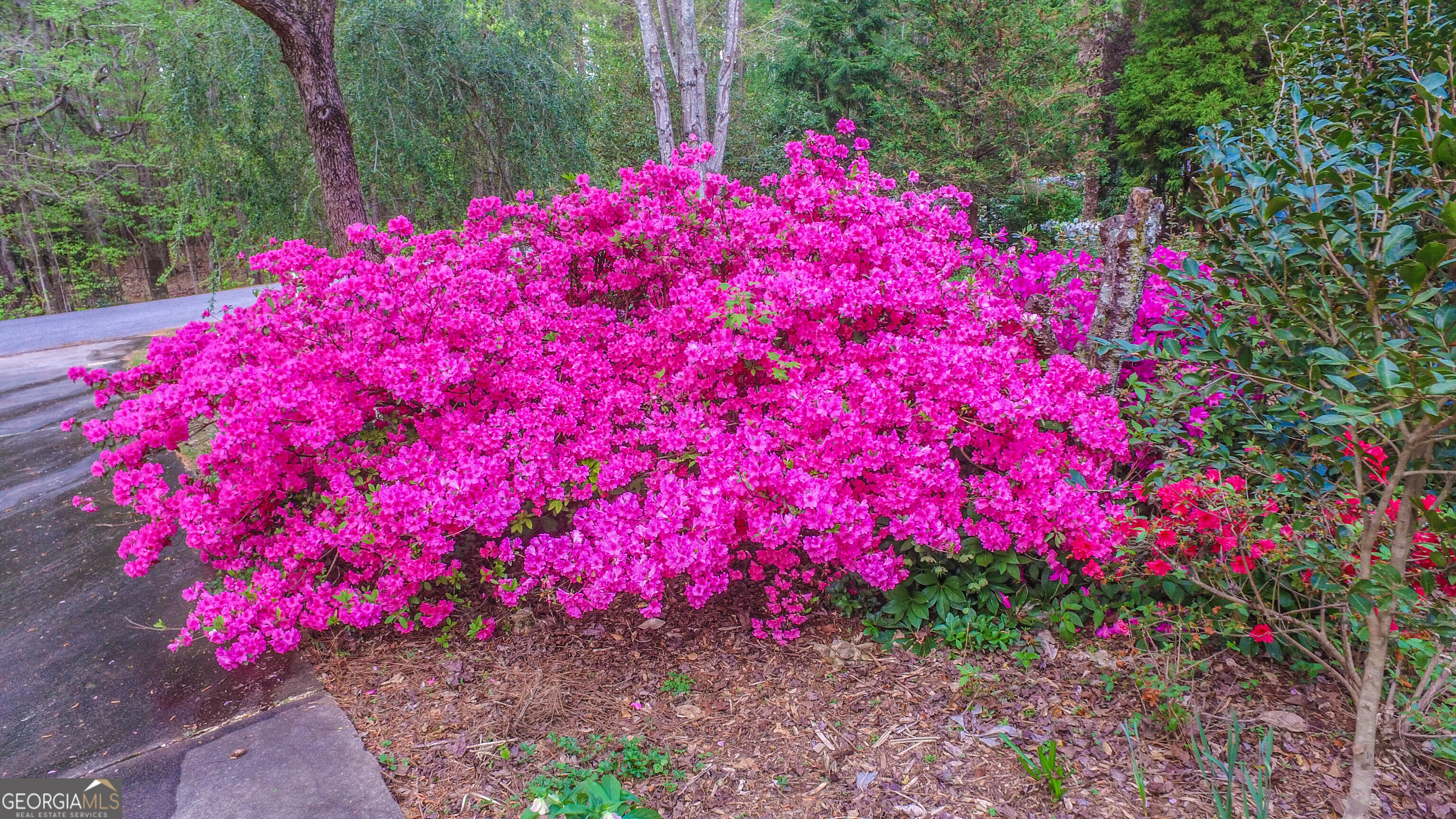 120 Shilling Way Newnan, GA 30263 - Photo 82 of 85