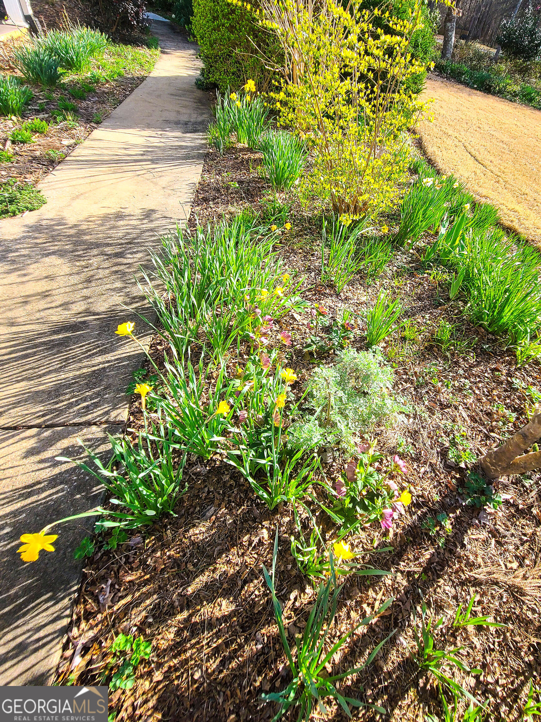 120 Shilling Way Newnan, GA 30263 - Photo 83 of 85