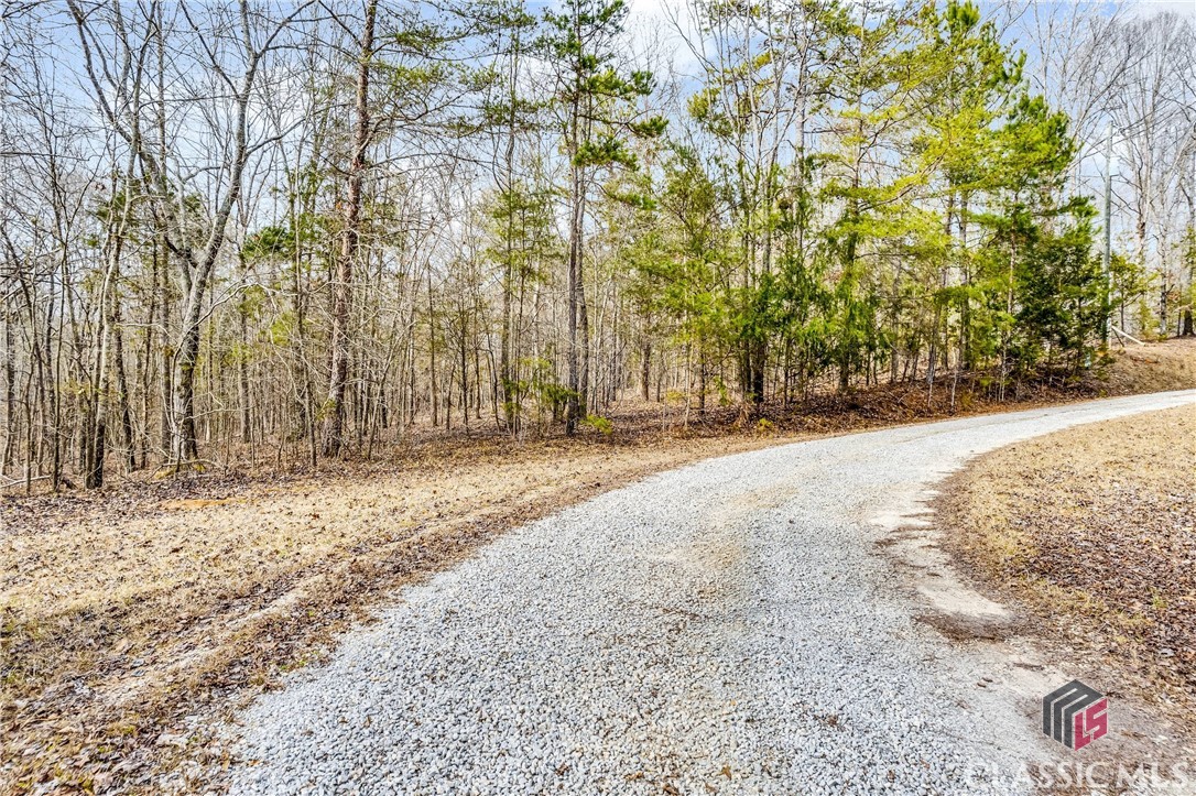 0 Paynes Creek Road, Unit LOT 7 Hartwell, GA 30643 - Photo 11 of 17