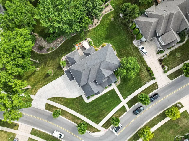 an aerial view of a garden with plants