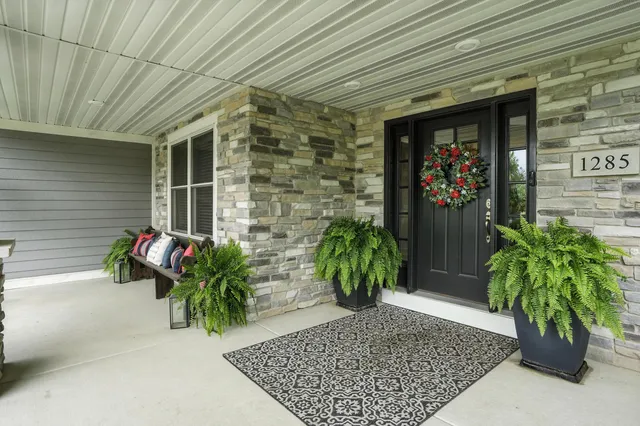 a potted plant sitting in front of a house