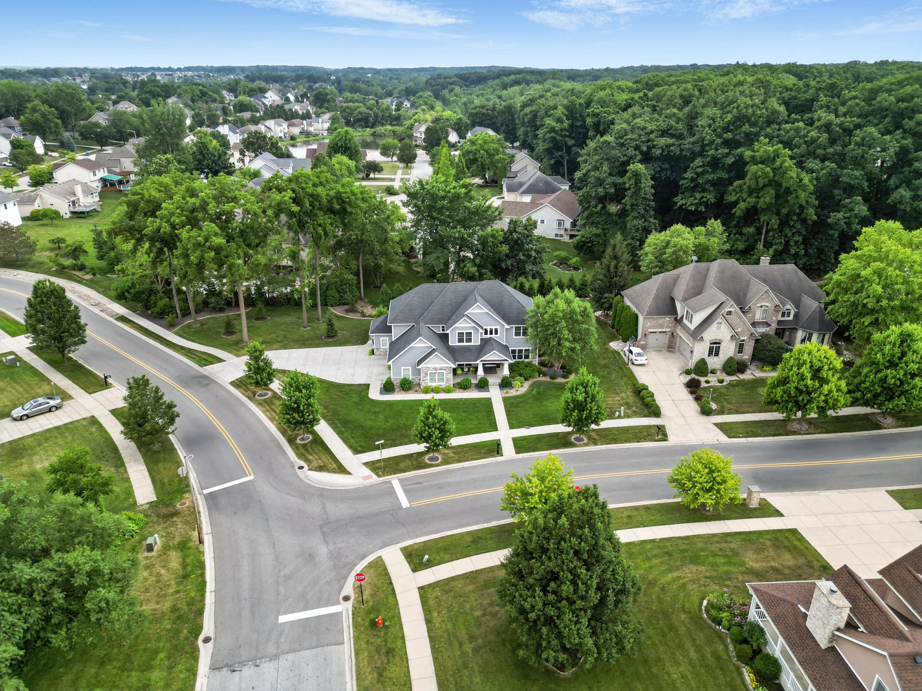 1285 Greenview Place Crown Point, IN 46307 - Photo 51 of 51 an aerial view of a garden with plants