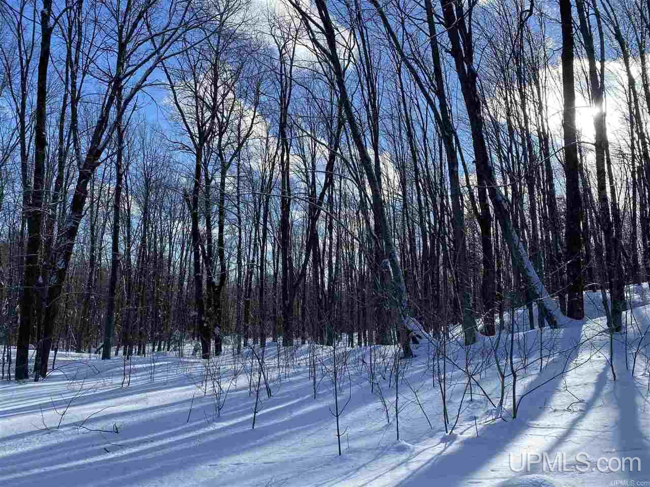 On On Chaney Cove Road, Unit LOT 1 Bessemer, MI 49911 - Photo 23 of 28