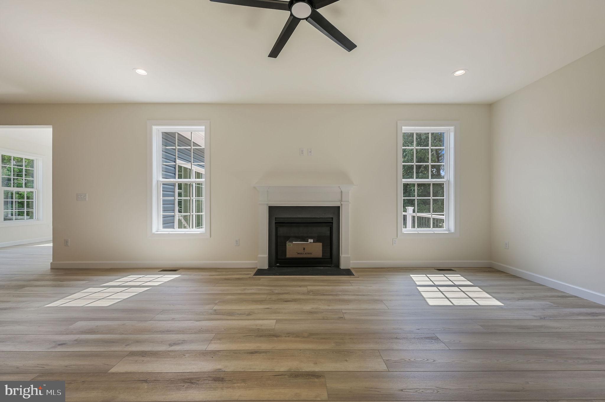 12 Baltray Road Dover, DE 19904 - Photo 9 of 46 Gas Fireplace in the large Living Room off Kitchen
