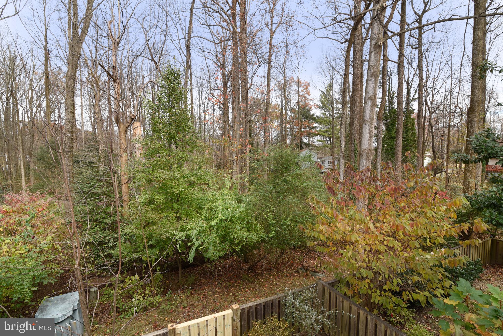 2334 Generation Drive Reston, VA 20191 - Photo 23 of 55 Views of the trees from the main level deck.