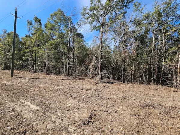 $119,500 | 0 C J C J Laird Road, Ponce de Leon, FL 32455