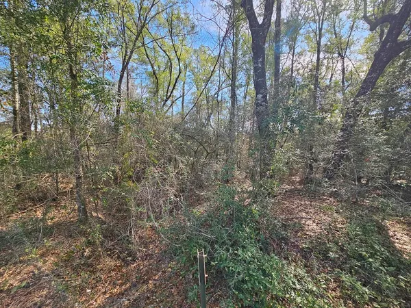 $119,500 | 0 C J C J Laird Road, Ponce de Leon, FL 32455