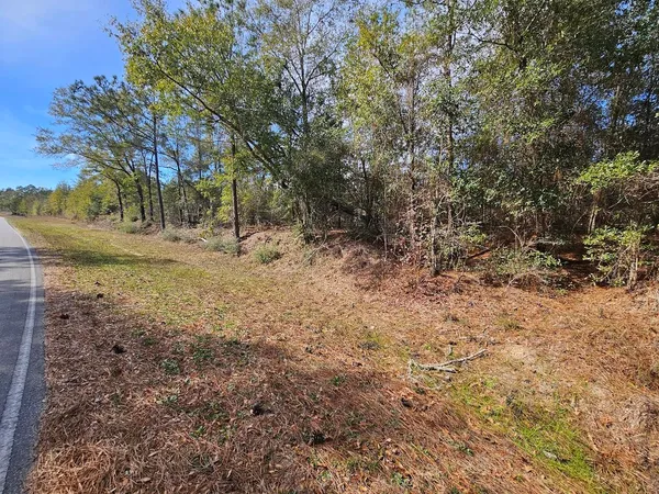 $119,500 | 0 C J C J Laird Road, Ponce de Leon, FL 32455