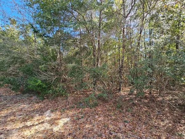$119,500 | 0 C J C J Laird Road, Ponce de Leon, FL 32455