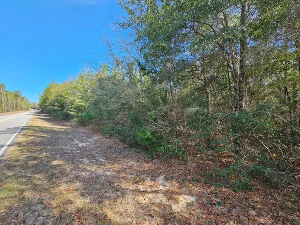 $119,500 | 0 C J C J Laird Road, Ponce de Leon, FL 32455