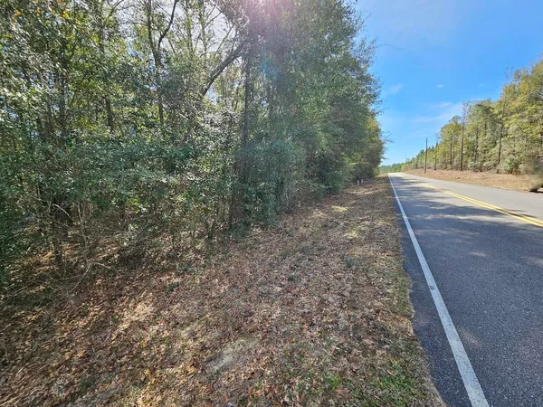 $119,500 | 0 C J C J Laird Road, Ponce de Leon, FL 32455