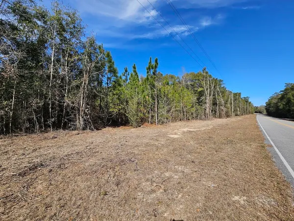 $119,500 | 0 C J C J Laird Road, Ponce de Leon, FL 32455