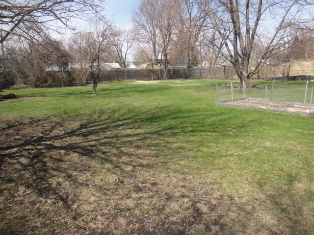 5718 South Peck Avenue Countryside, IL 60525 - Photo 12 of 12 a view of a field with a tree