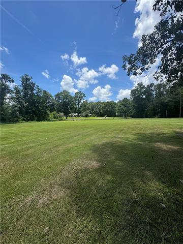 49090 Stafford Road Tickfaw, LA 70466 - Photo 6 of 8