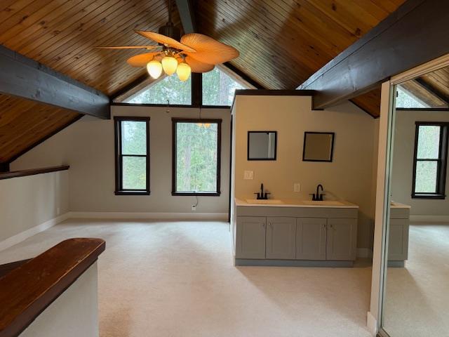 262 Sunnyside Colfax, CA 95713 - Photo 30 of 45