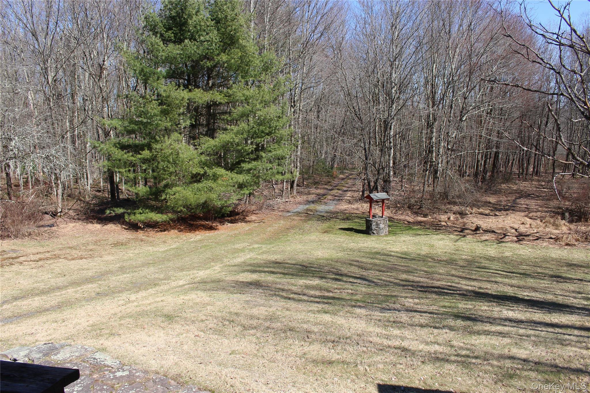 154 Britman Road Mongaup Valley, NY 12762 - Photo 20 of 38 a backyard of a house with trees