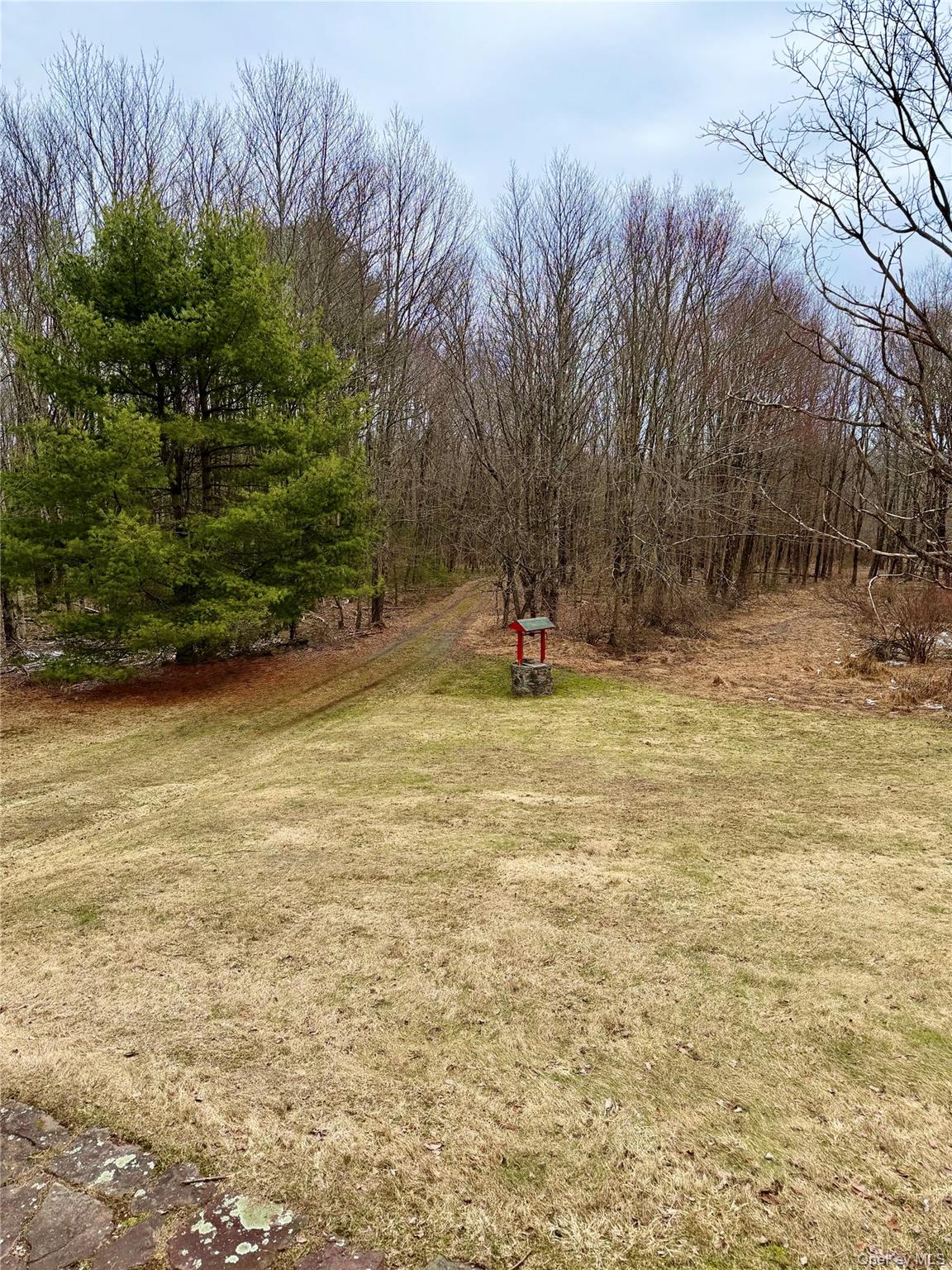 154 Britman Road Mongaup Valley, NY 12762 - Photo 4 of 45