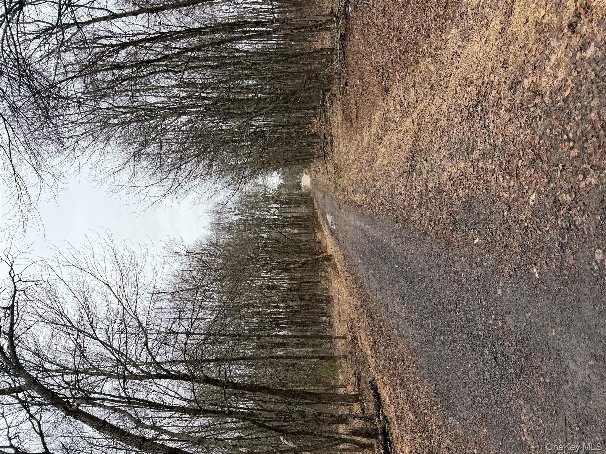 154 Britman Road Mongaup Valley, NY 12762 - Photo 45 of 45