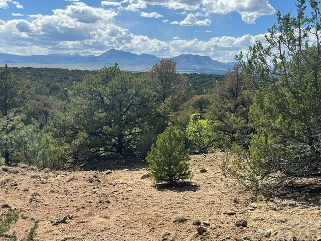 96 River Ridge Trail Walsenburg, CO 81089 - Photo 7 of 28