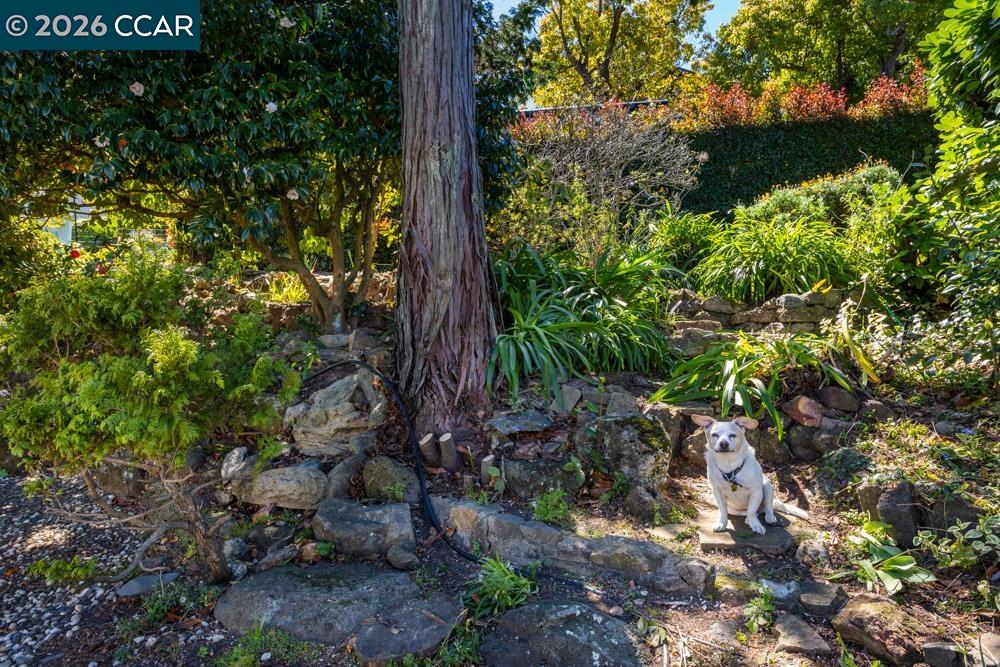 1040 Park Hills Road Berkeley, CA 94708 - Photo 30 of 37