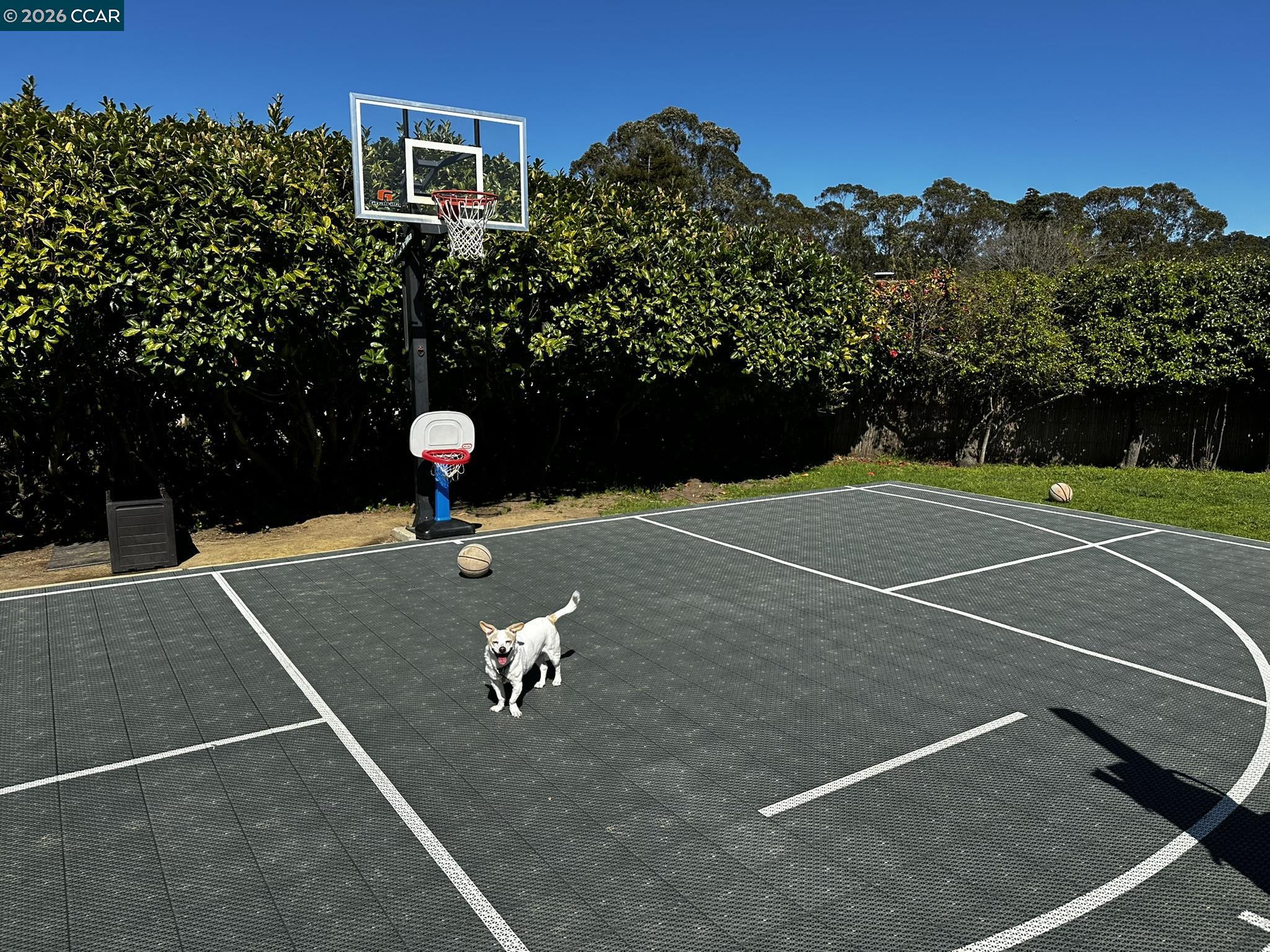 1040 Park Hills Road Berkeley, CA 94708 - Photo 33 of 37