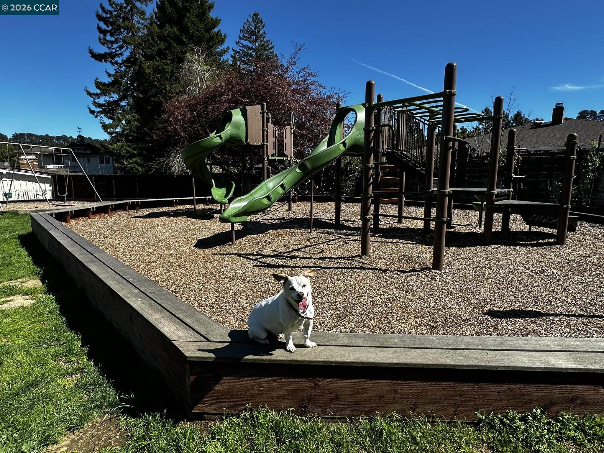 1040 Park Hills Road Berkeley, CA 94708 - Photo 34 of 37