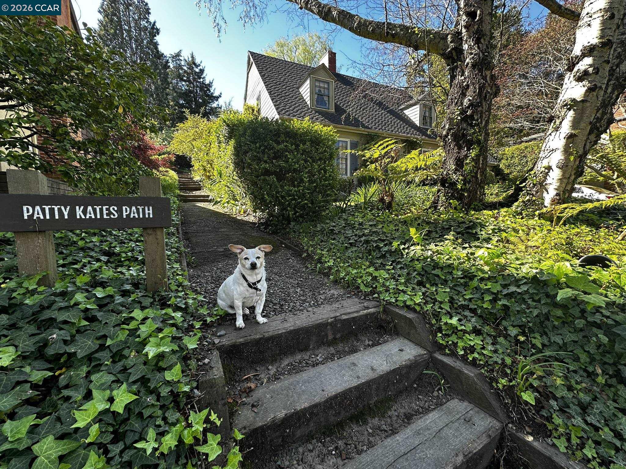 1040 Park Hills Road Berkeley, CA 94708 - Photo 35 of 37