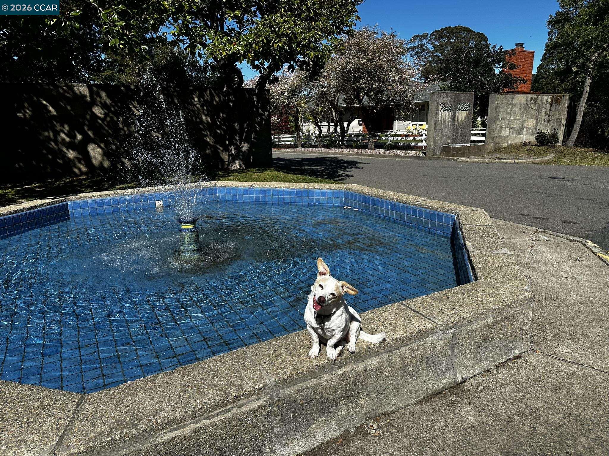 1040 Park Hills Road Berkeley, CA 94708 - Photo 36 of 37