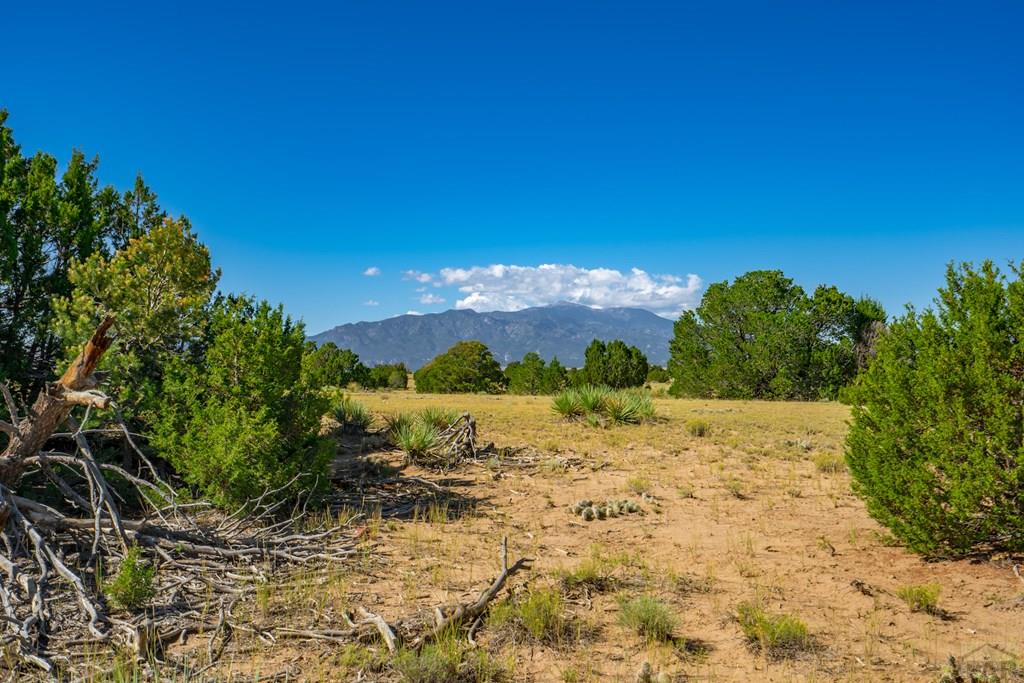 25-52 Twin Lakes Road Walsenburg, CO 81089 - Photo 11 of 19