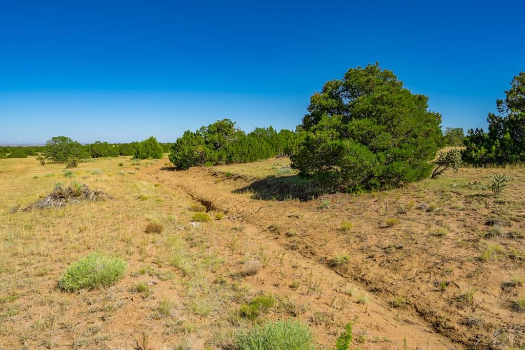 25-52 Twin Lakes Road Walsenburg, CO 81089 - Photo 12 of 19