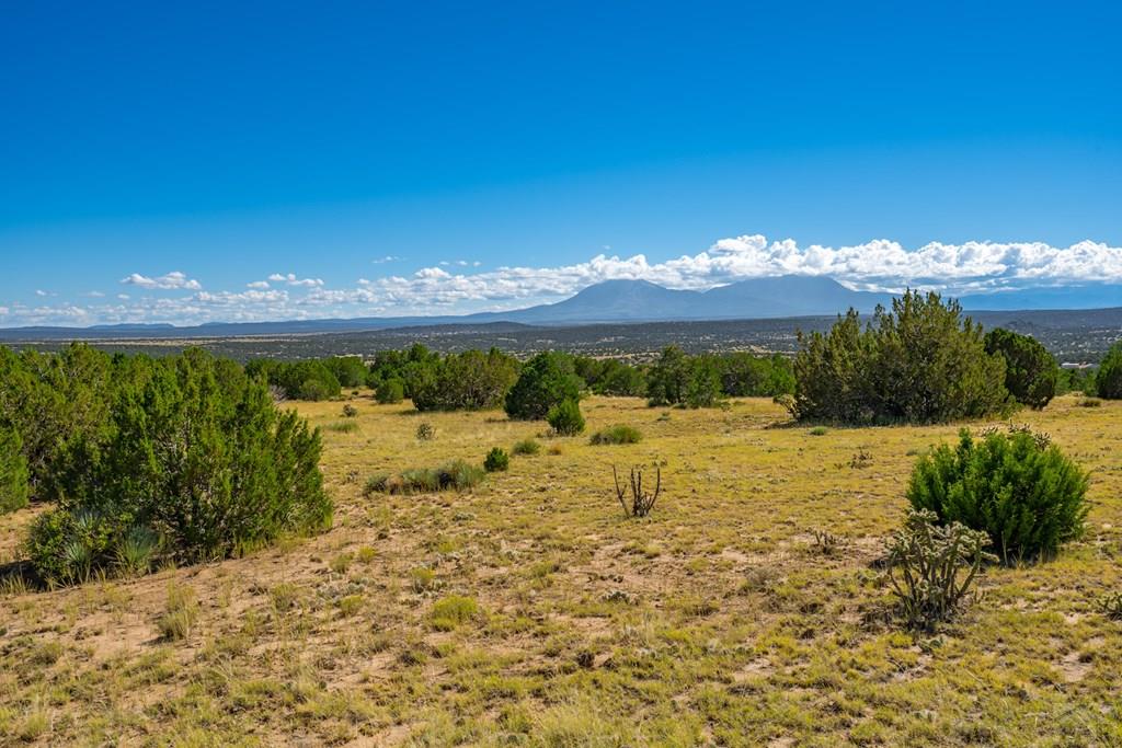 25-52 Twin Lakes Road Walsenburg, CO 81089 - Photo 14 of 19