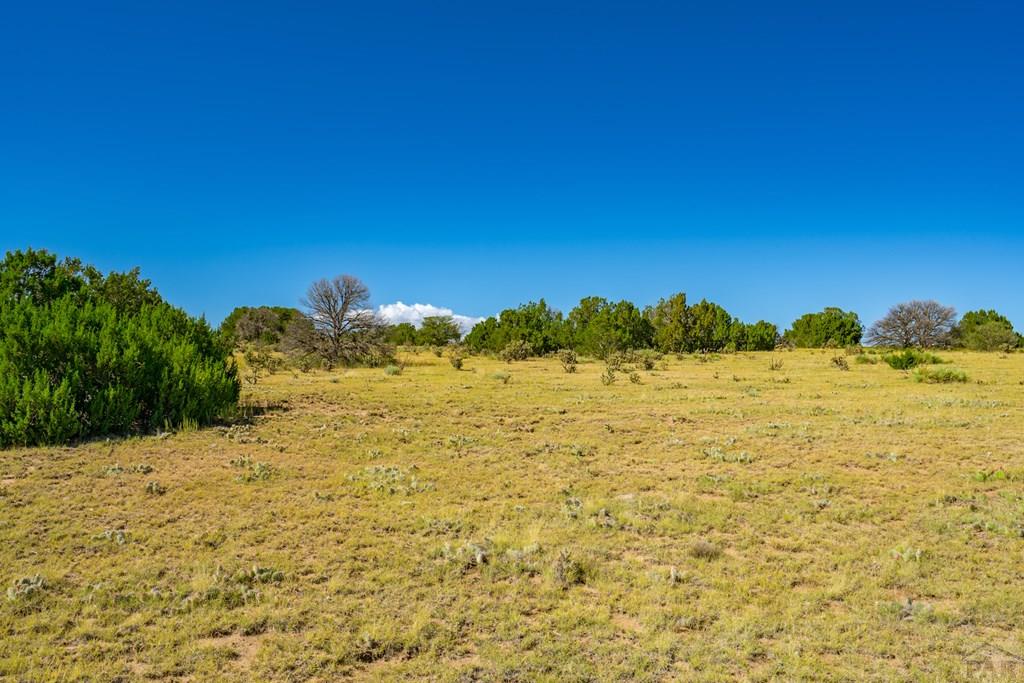 25-52 Twin Lakes Road Walsenburg, CO 81089 - Photo 15 of 19